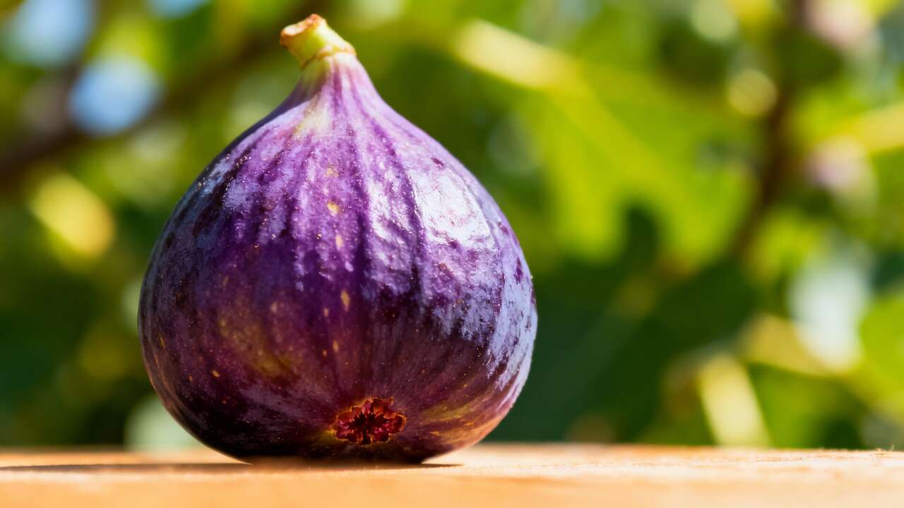 Frutto di stagione: scopri il segreto nascosto della vespa al suo interno