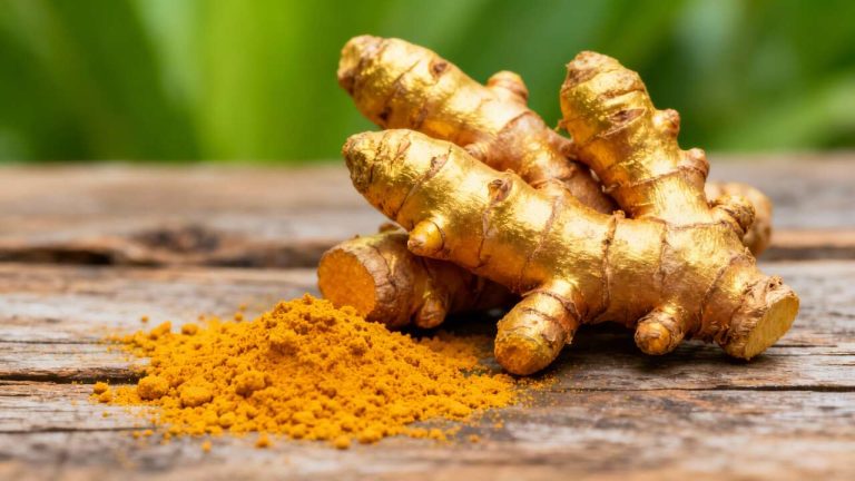 Polvere d’oro: la spezia che stimola la memoria, regola la pressione e protegge il fegato