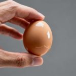 Come capire se un uovo è ancora buono senza romperlo